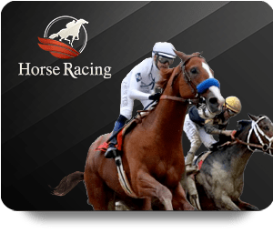 Why Oxbet Live Dealer Hot Attracts Online Casino Fans